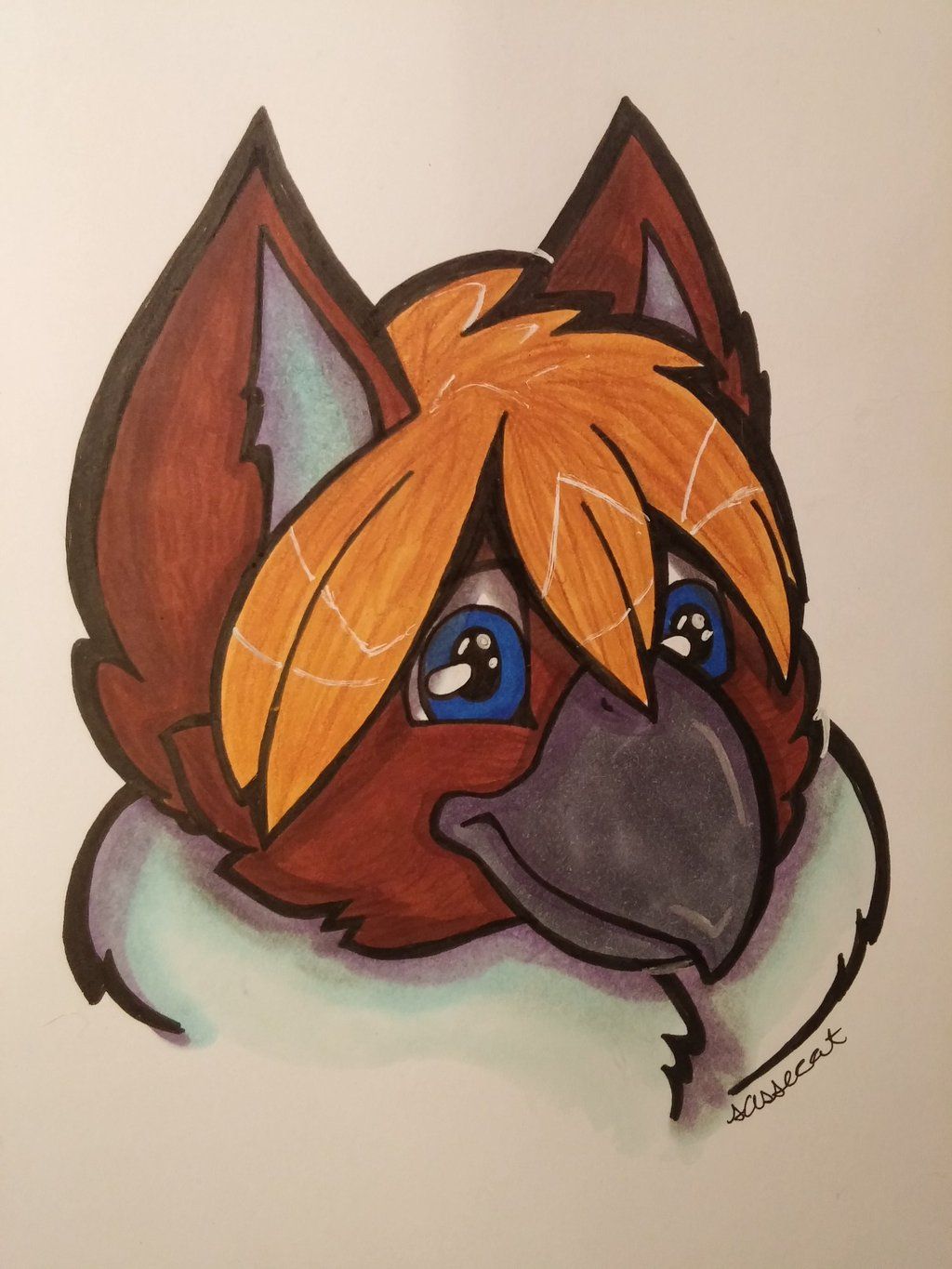 User Display Picture