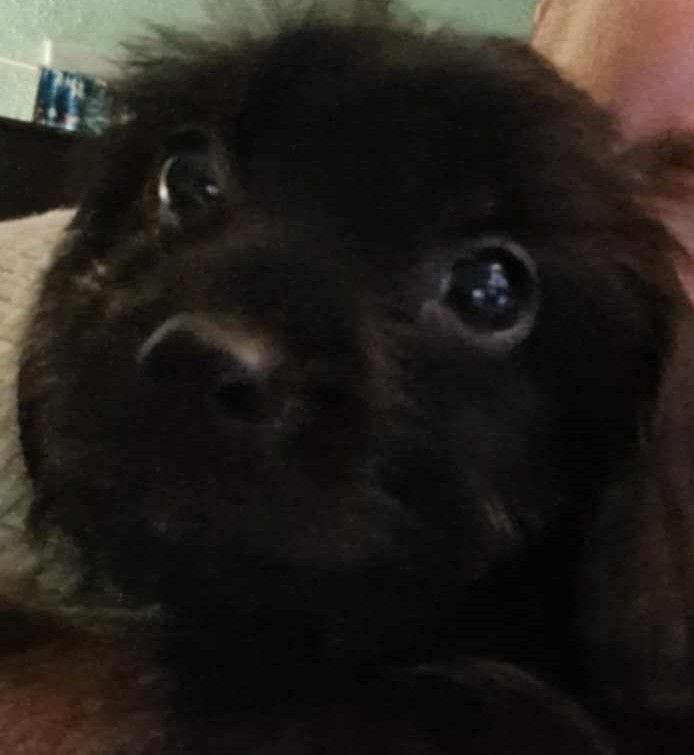 User Display Picture