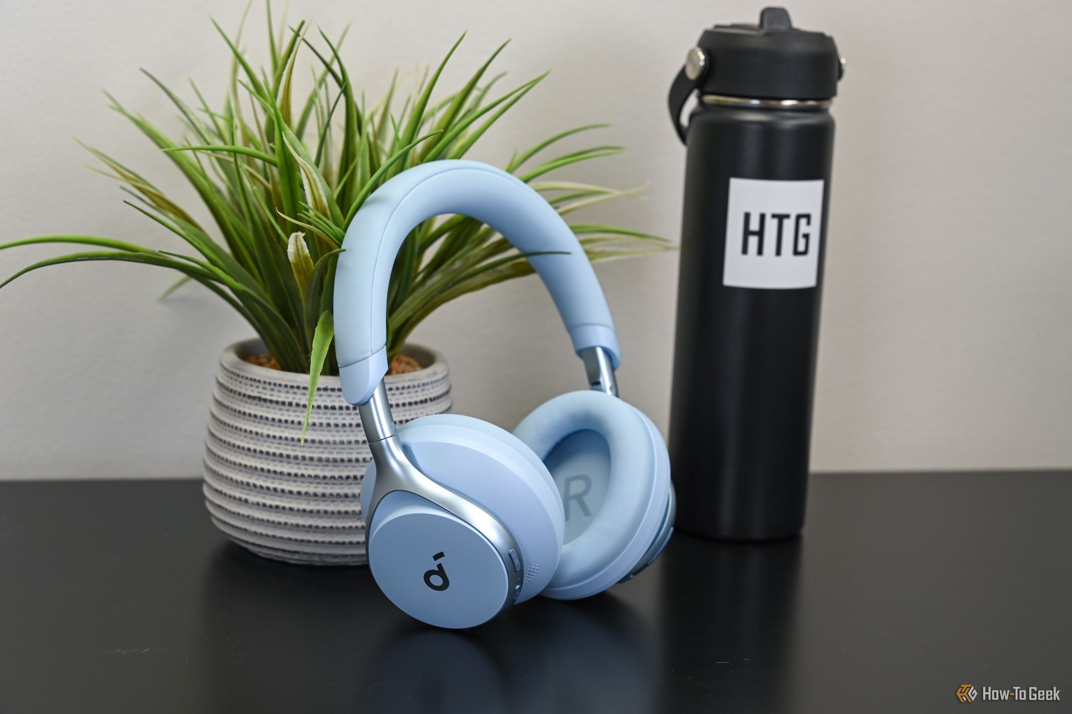 Soundcore headphones leaning against a plant