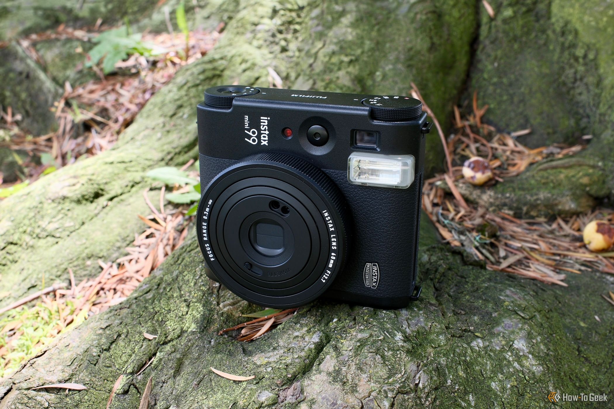 Fujifilm Instax Mini 99 sitting outside on a tree