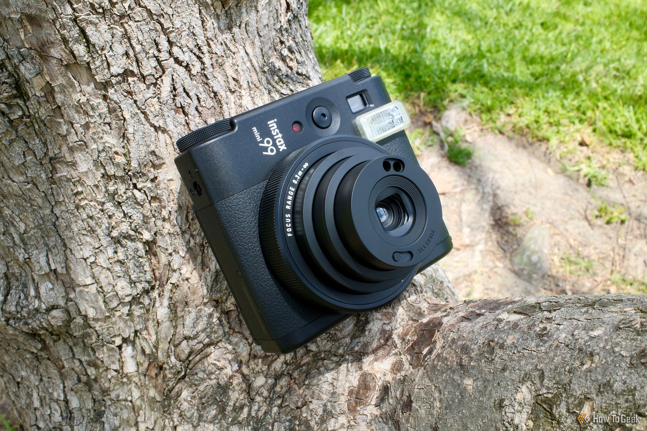 Fujifilm Instax Mini 99 turned on sitting on a tree