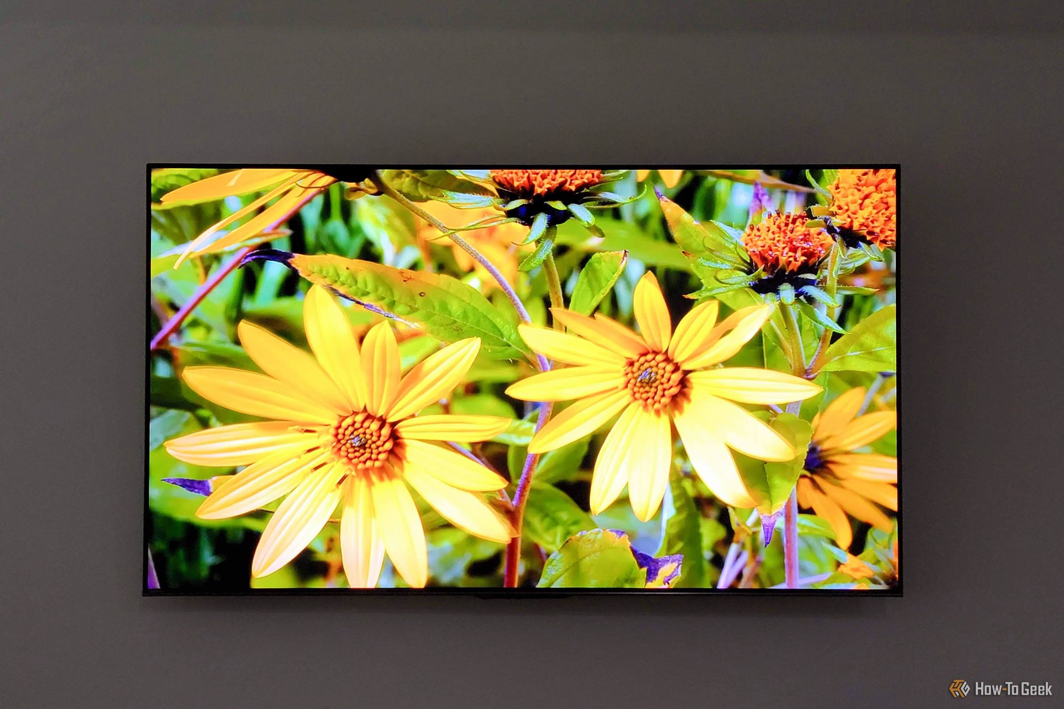 Hisense U7N flowers