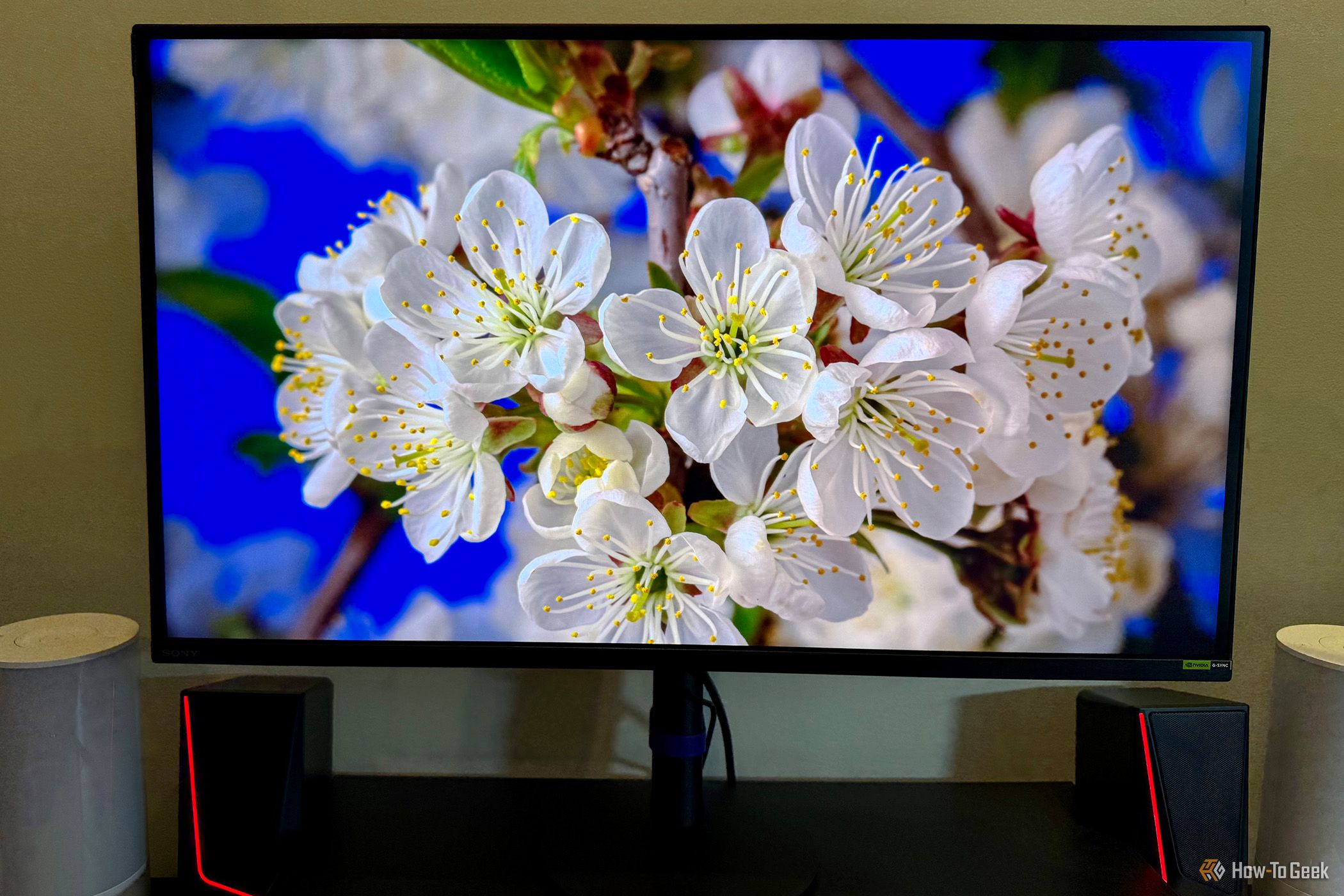 Sony Inzone M9 II Monitor on desktop displaying white flowers.