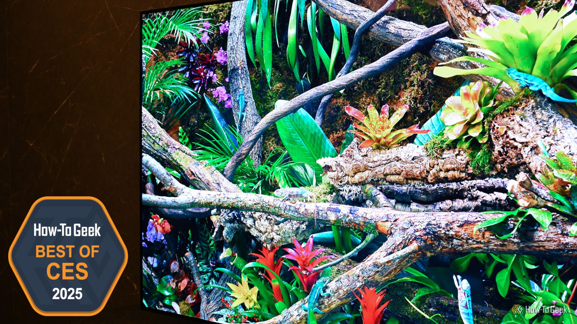 Телевизор Samsung OLED S95F на выставке CES 2025.