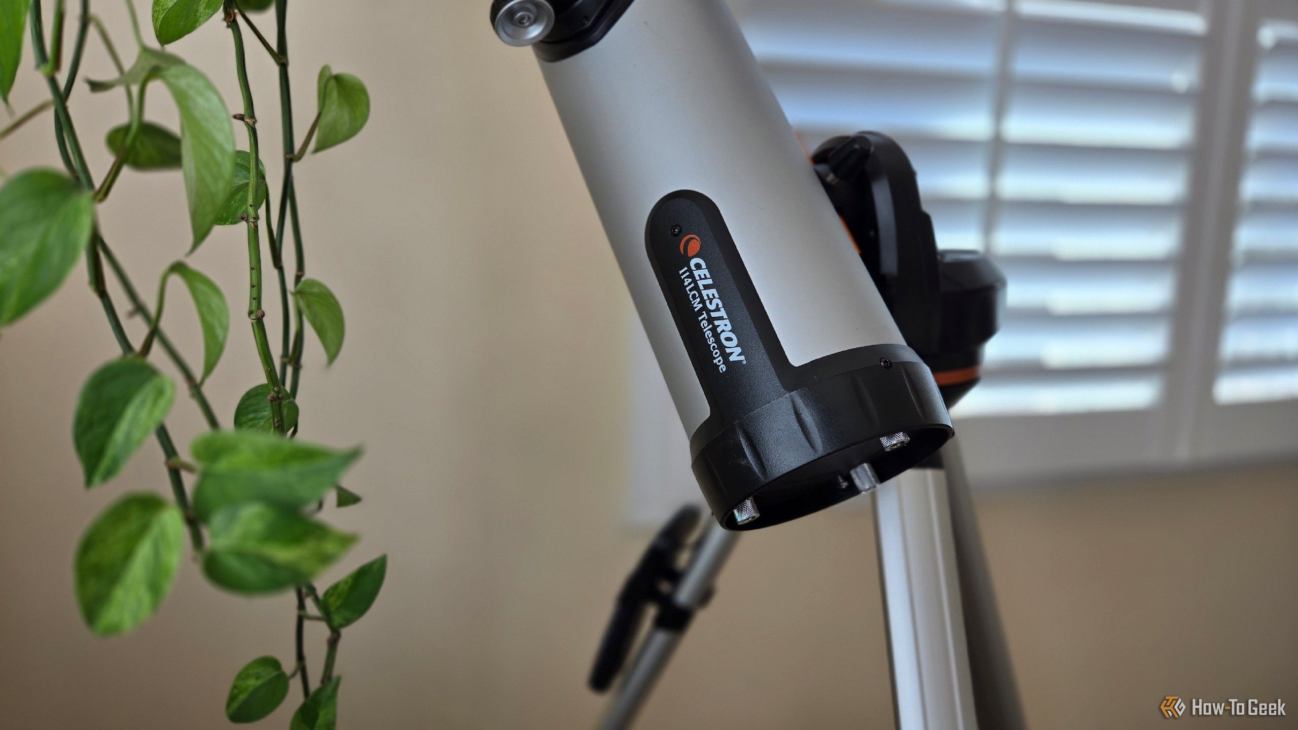 A Celestron 114LCM telescope next to a hanging plant.