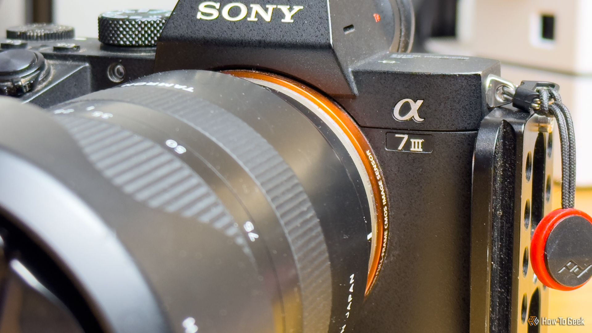 Should You Buy an Older Full-Frame Camera in 2025? I Did