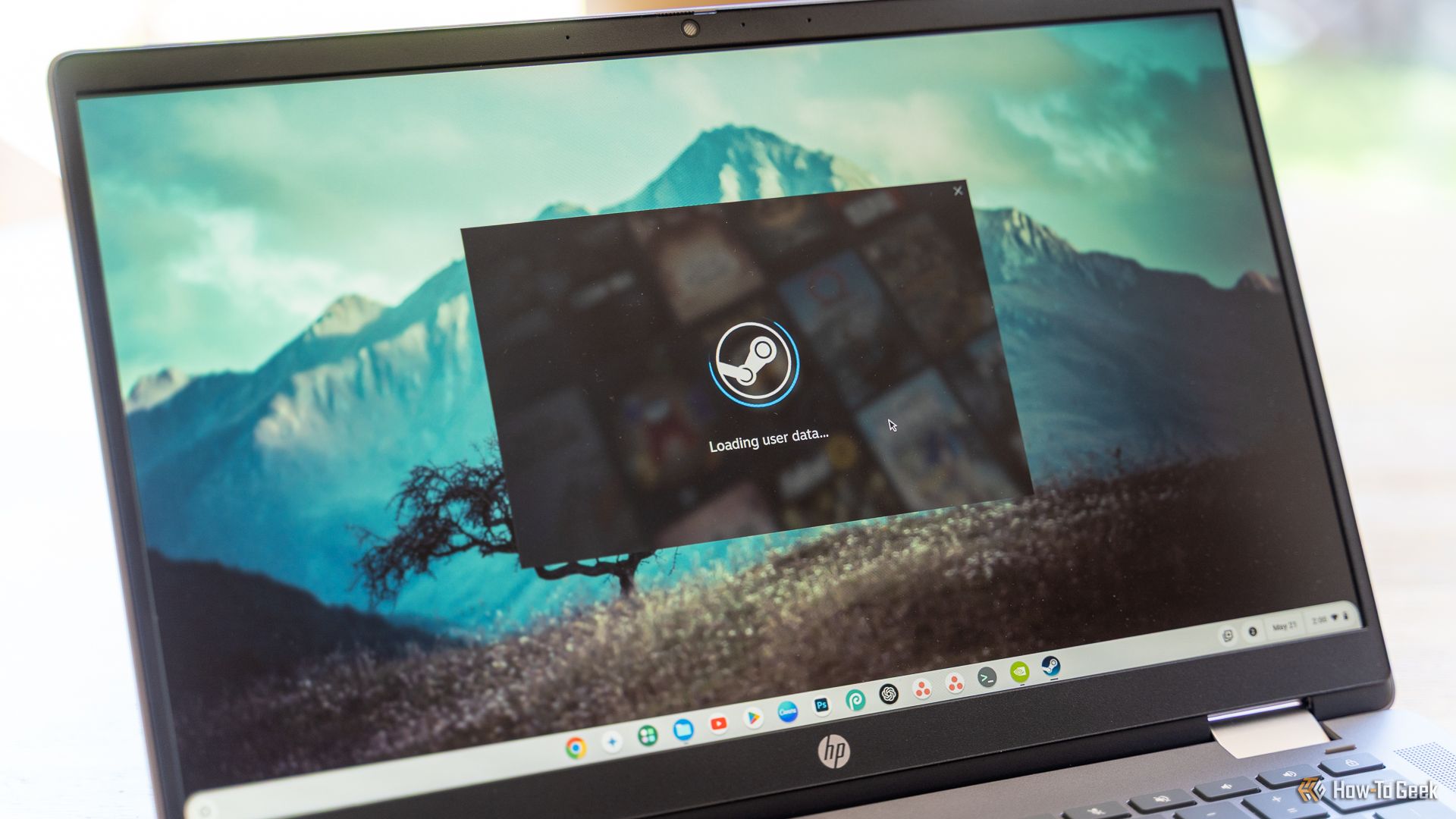 Steam for ChromeOS launching.