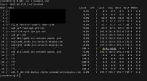 A terminal displays a table-based report generated by the MTR utility. The screen displays 19 table rows that represent probe data.