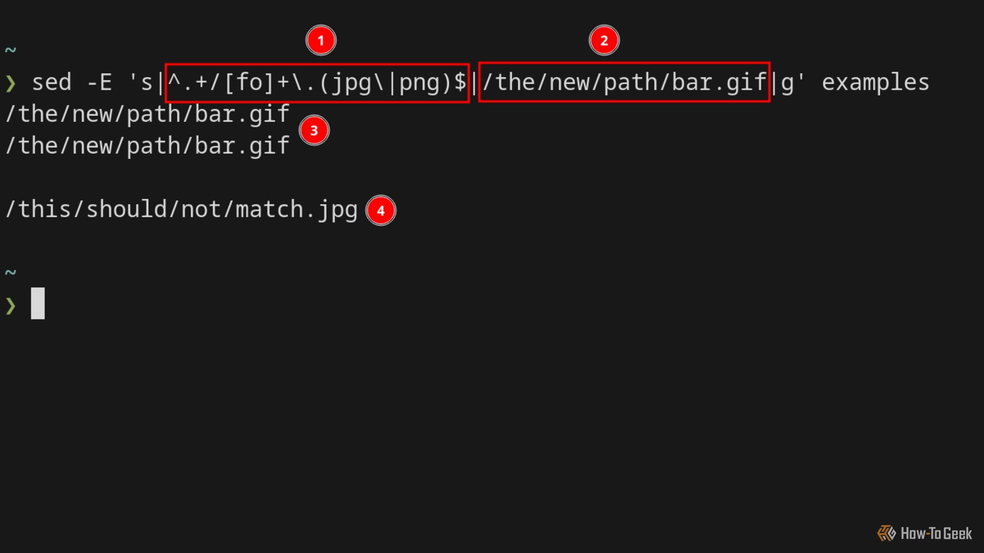 A terminal displays results from the sed command. It searched a file and replaced two file paths with a provided value—another path.