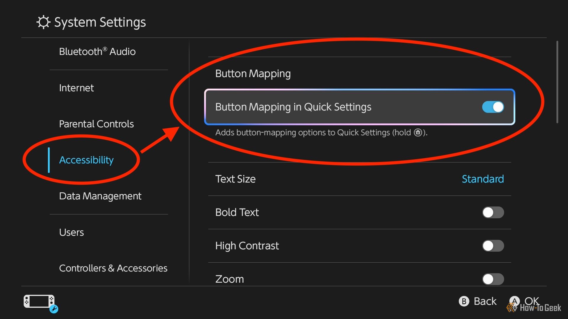 The Switch 2 System Settings with the Accessibility and Button Mapping options circled.