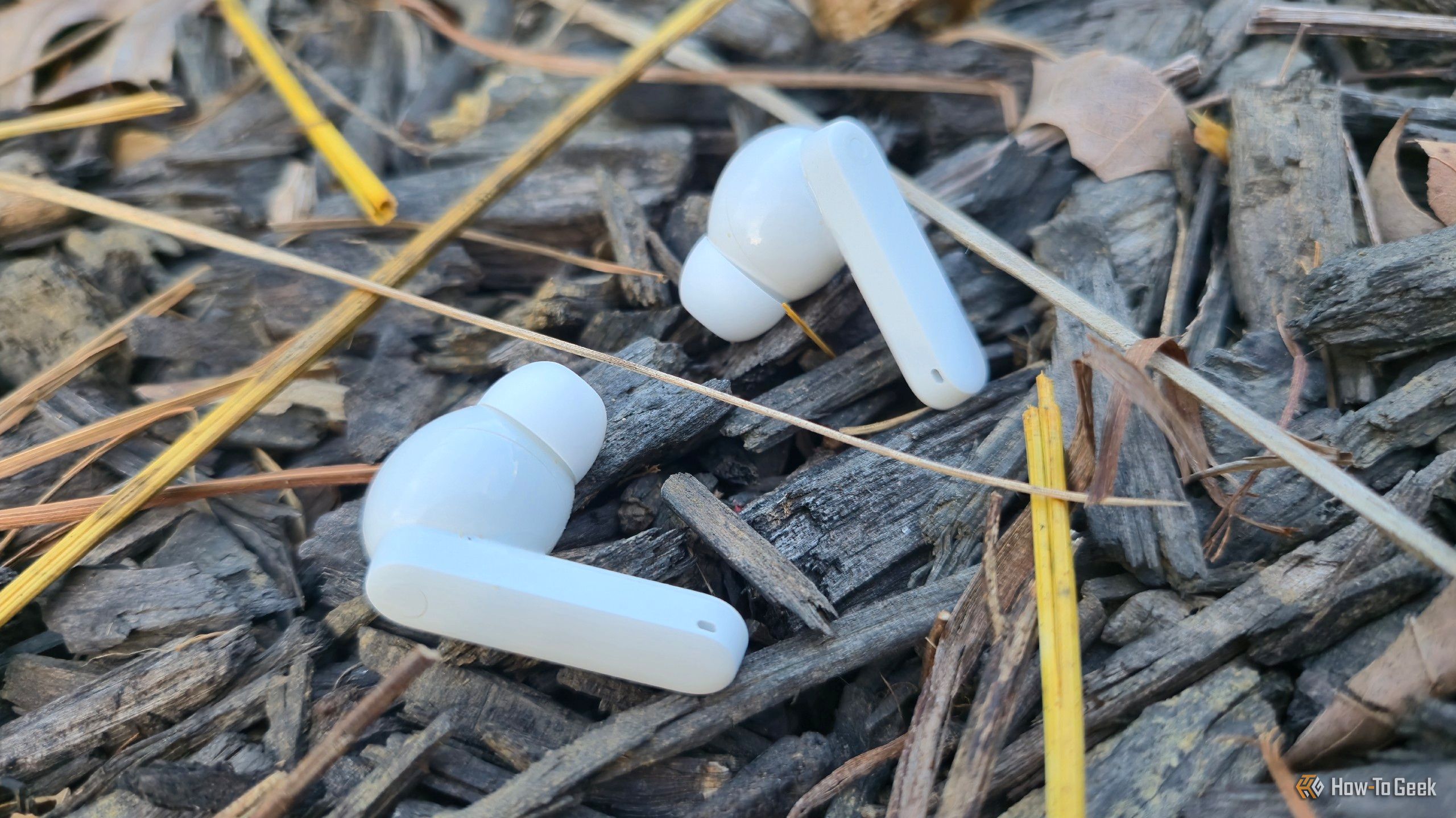 CMB Buds 2 Plus lying on mulch.