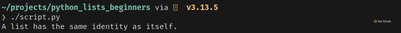 Python output that displays one message that confirms that a list can only be identical with itself.