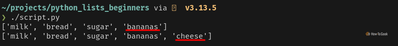 Python output that prints a list twice across two lines. Each line has a new item added to the end of the list.