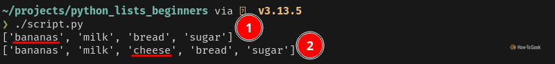 Python output that prints a list twice across two lines. Each line has a new item inserted at index 0 and index 2, respectively.