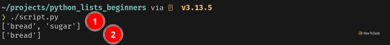 Python output that prints a list twice across two lines. Each line has a specified item removed.