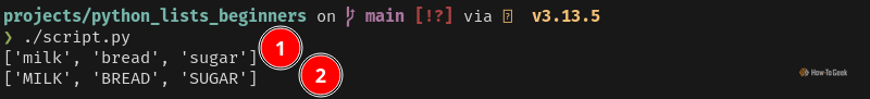 Python output that shows two lists: one with lowercase strings and the other with uppercase strings.